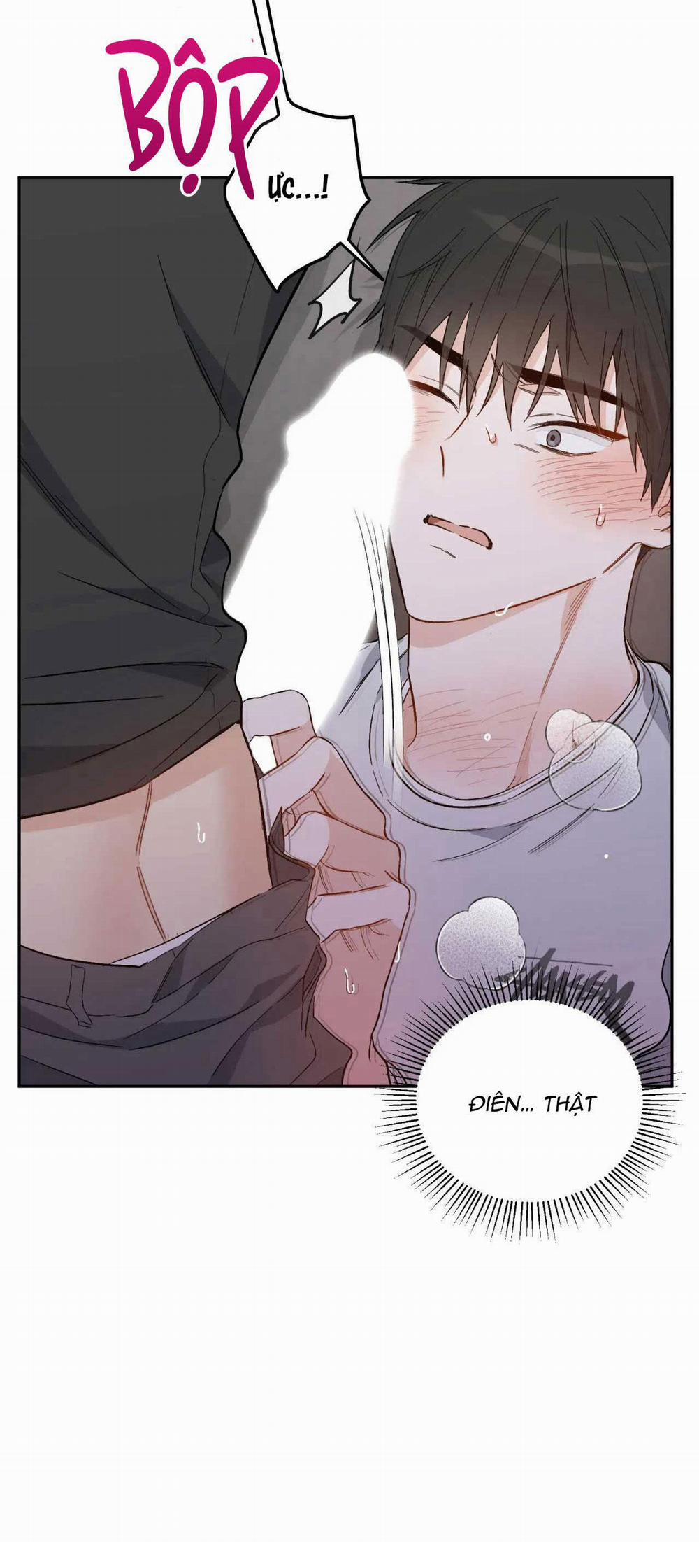 VẬN MỆNH CỦA CẬU LÀ GÌ? 2 trang 56