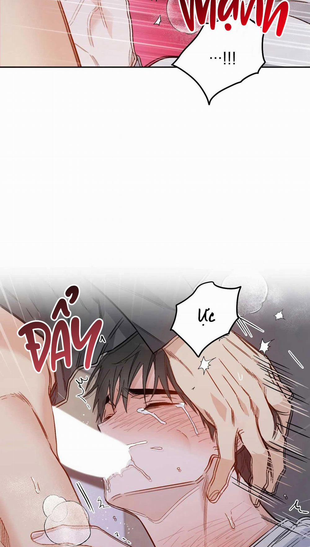 VẬN MỆNH CỦA CẬU LÀ GÌ? 2 trang 64