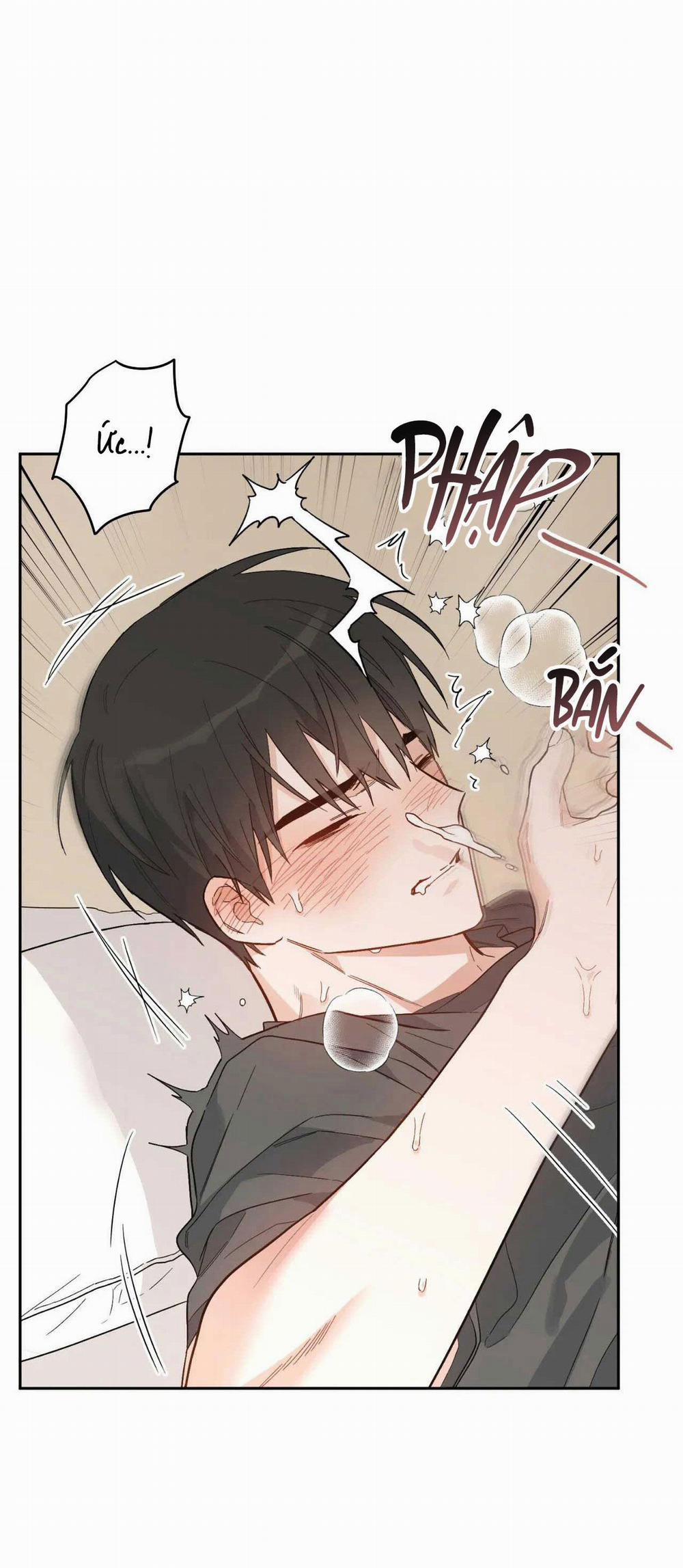 VẬN MỆNH CỦA CẬU LÀ GÌ? 2 trang 7