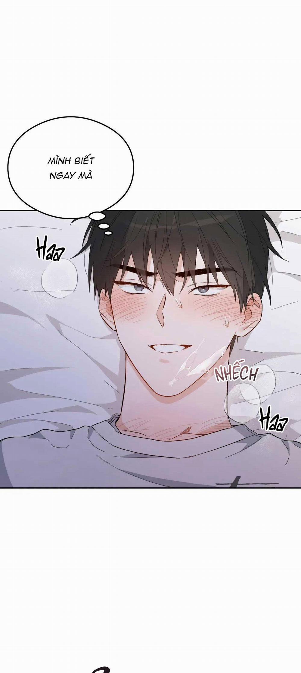 VẬN MỆNH CỦA CẬU LÀ GÌ? 3 trang 3