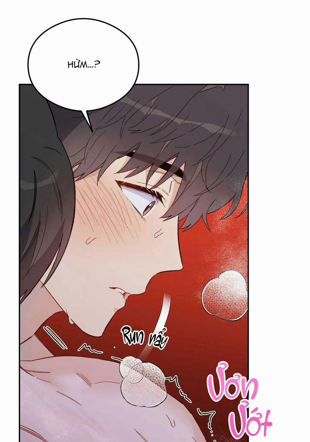 VẬN MỆNH CỦA CẬU LÀ GÌ? 3 trang 41