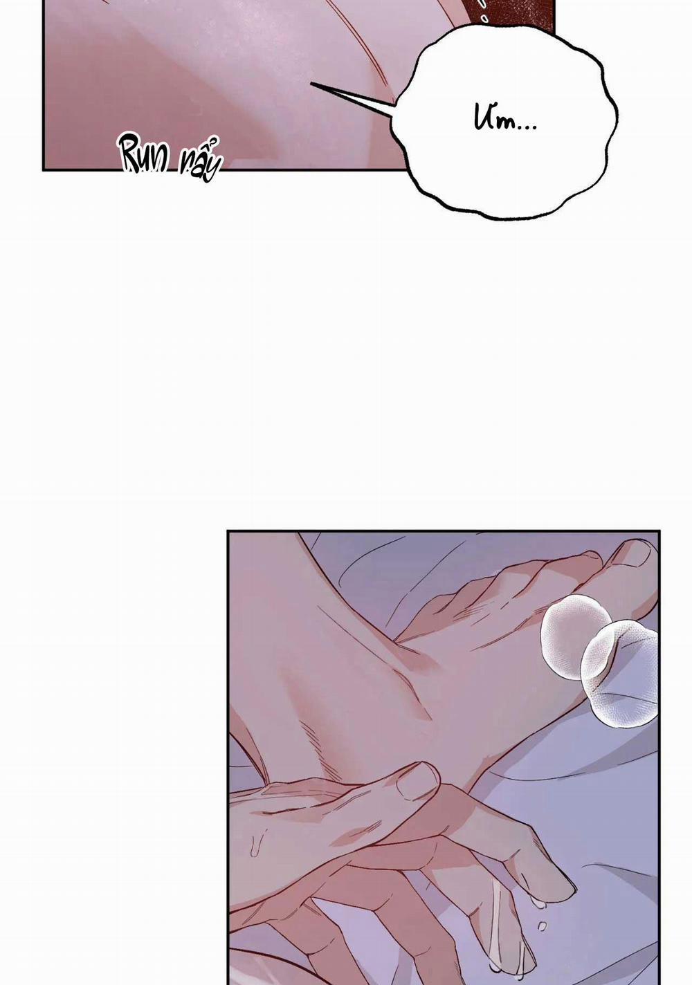 VẬN MỆNH CỦA CẬU LÀ GÌ? 3 trang 42