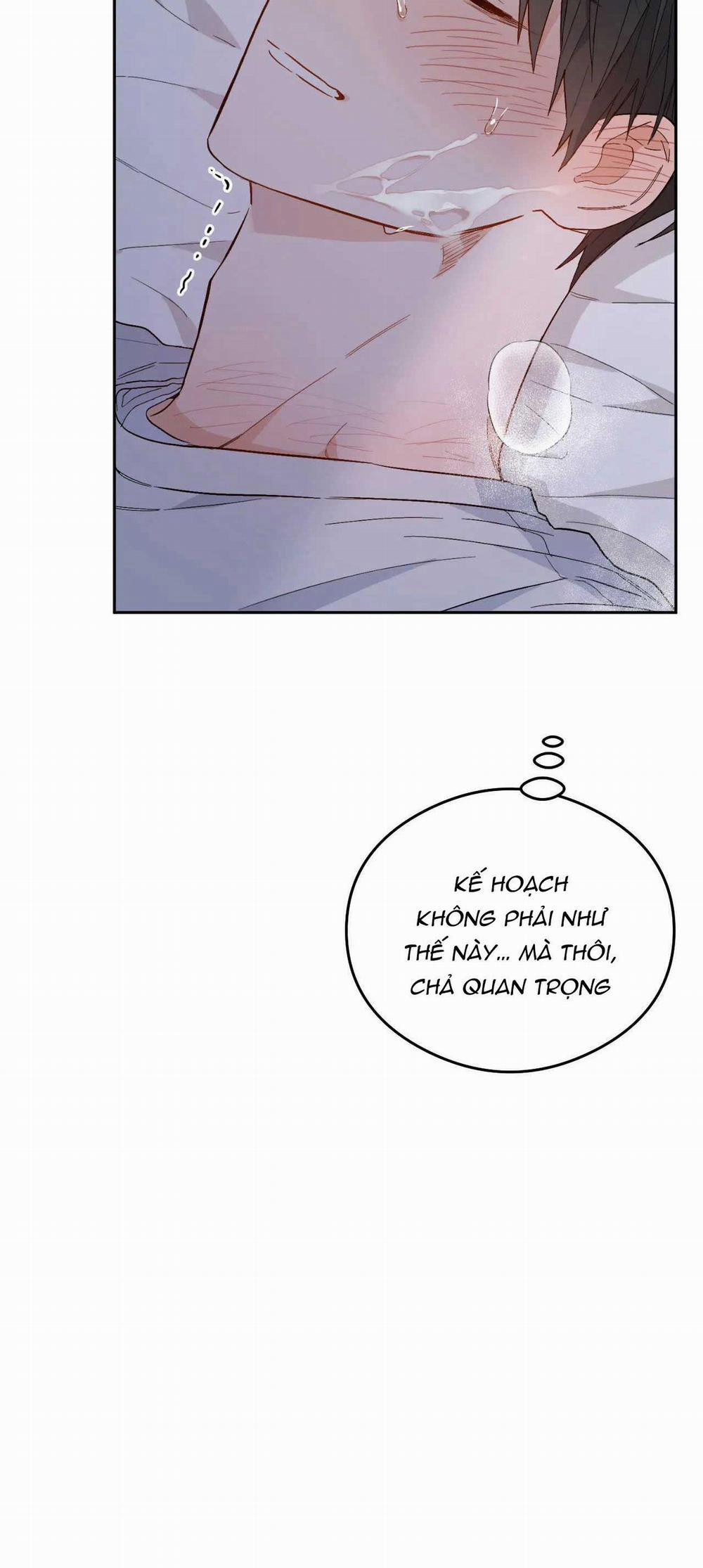 VẬN MỆNH CỦA CẬU LÀ GÌ? 3 trang 8