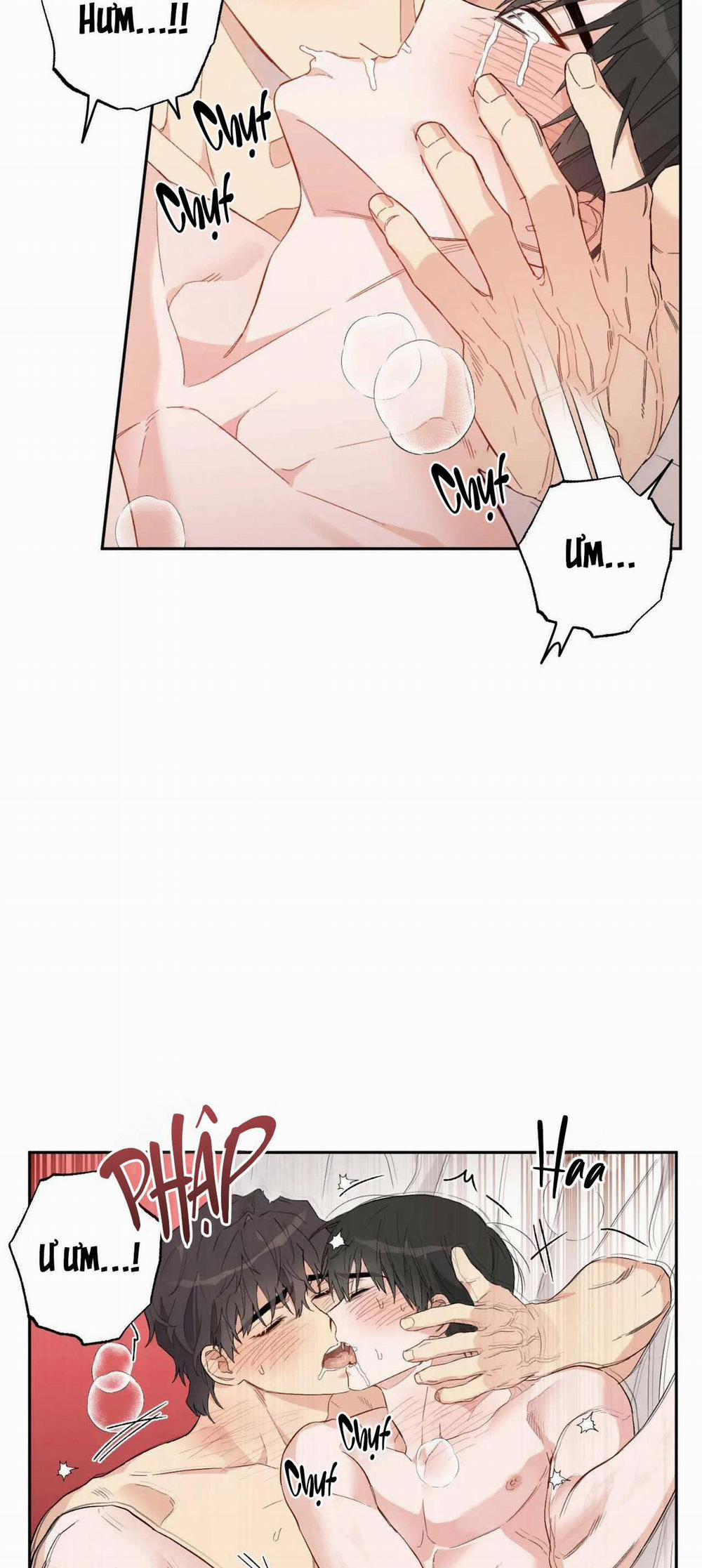 VẬN MỆNH CỦA CẬU LÀ GÌ? 4 trang 16