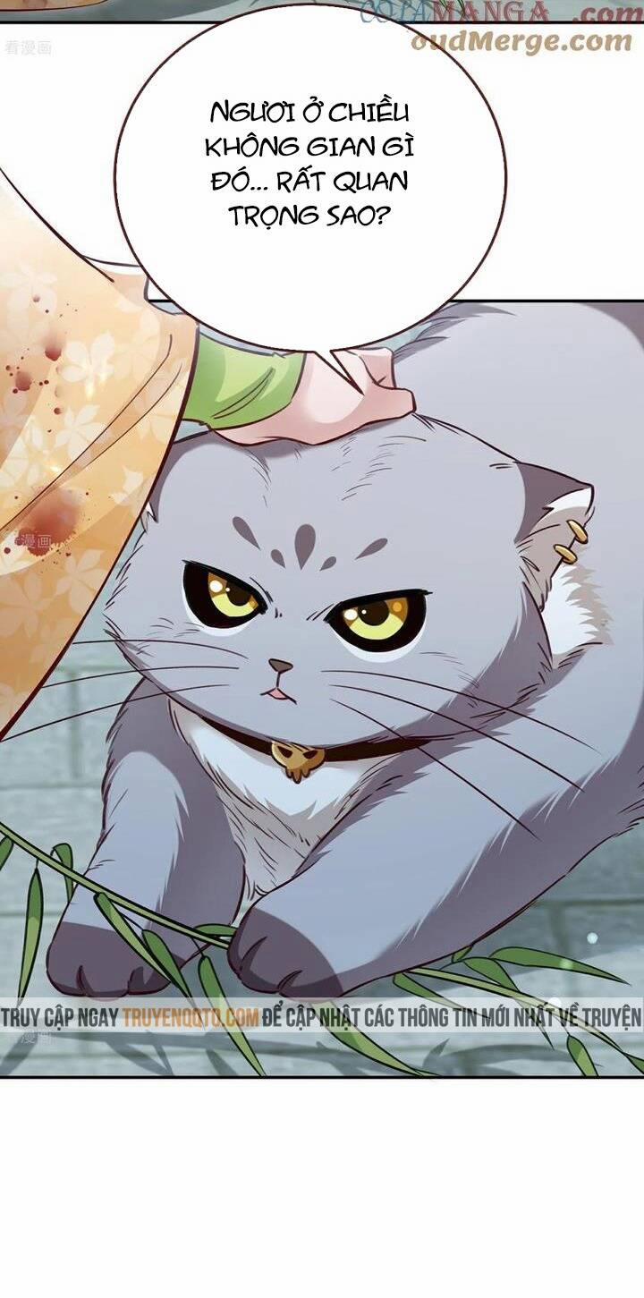 Vạn Tra Triêu Hoàng 800 trang 19