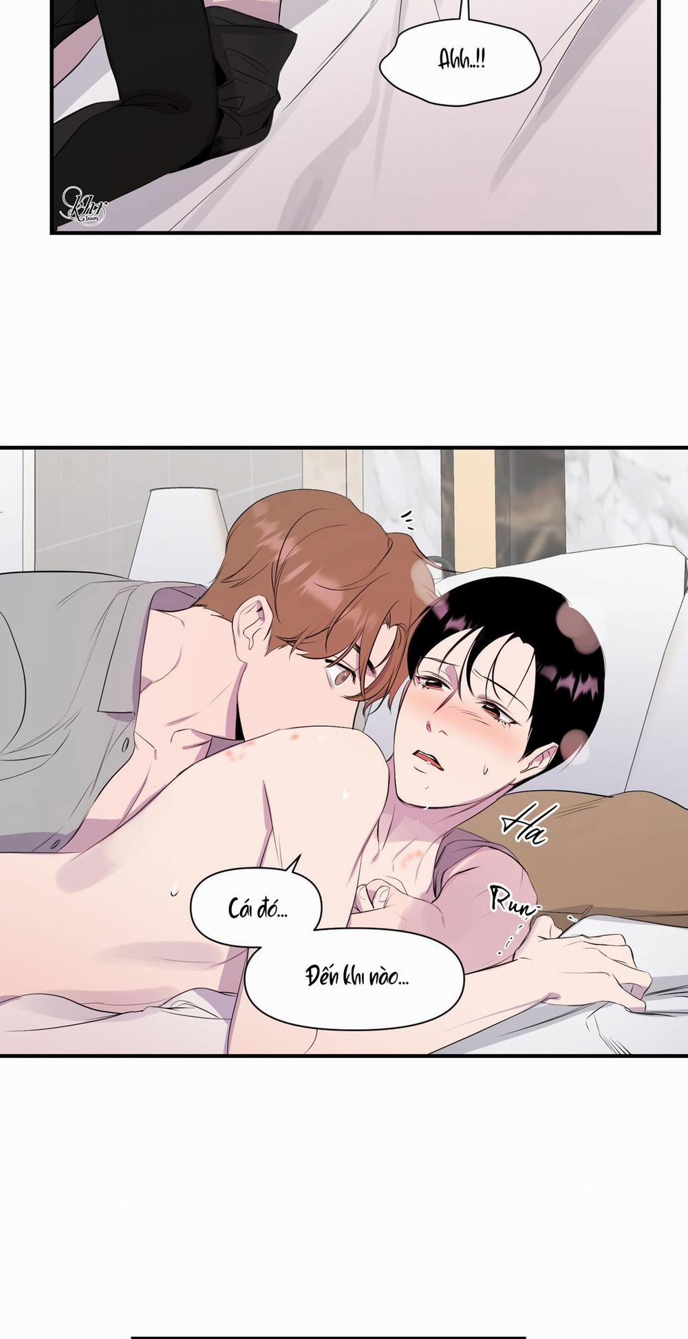 Vàng Giả 2 trang 13