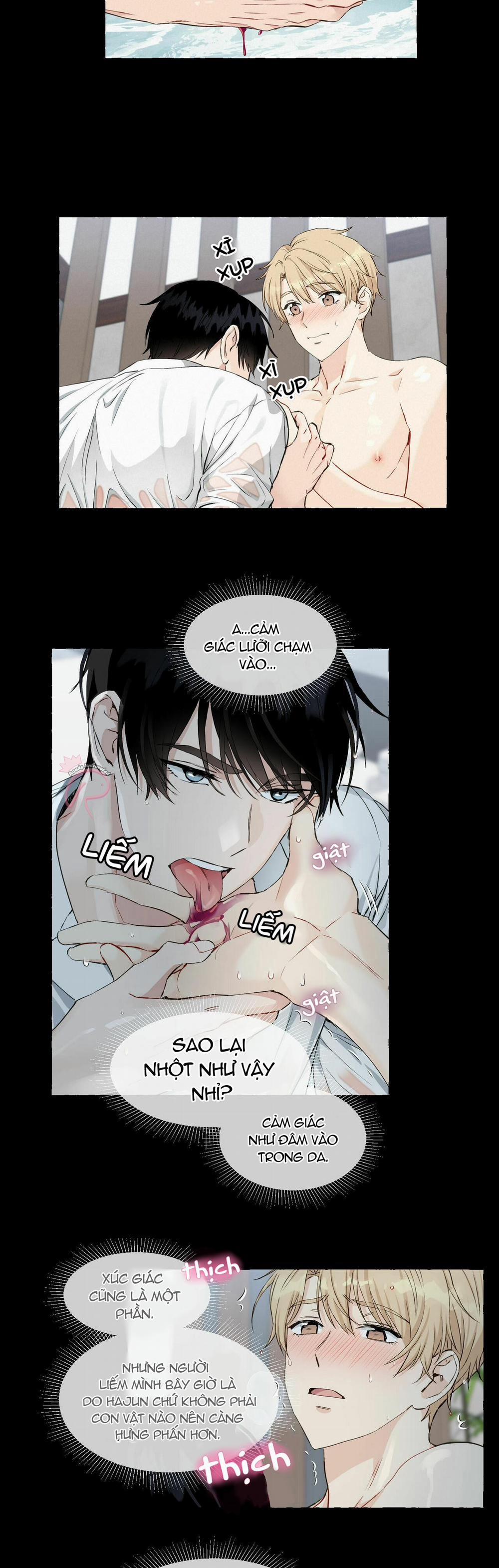 Vanilla Ngọt Ngào (SM) 26 trang 13