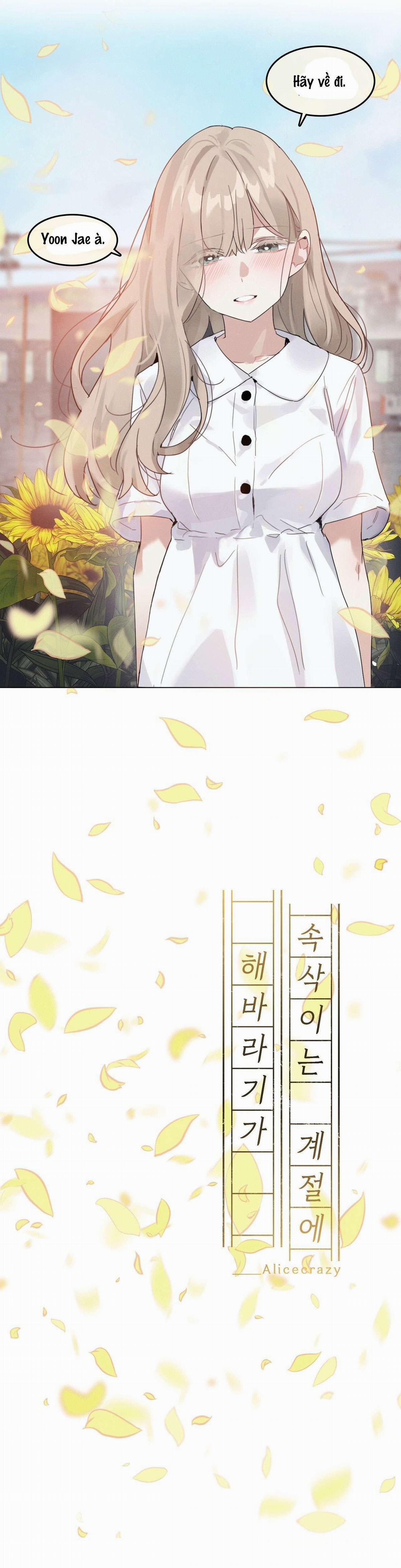 Vào Mùa Hoa Hướng Dương Khẽ Thì Thầm 9 trang 8