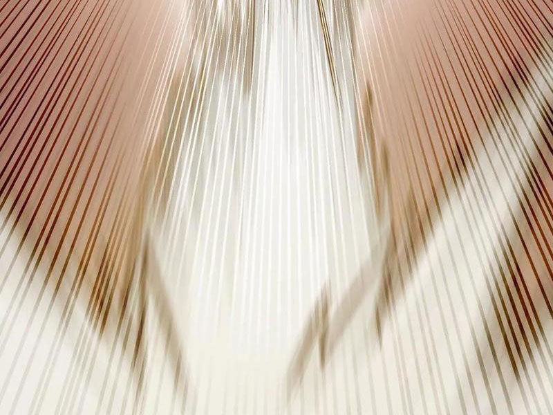 Vật Lý Tu Tiên Hai Vạn Năm 11 trang 2