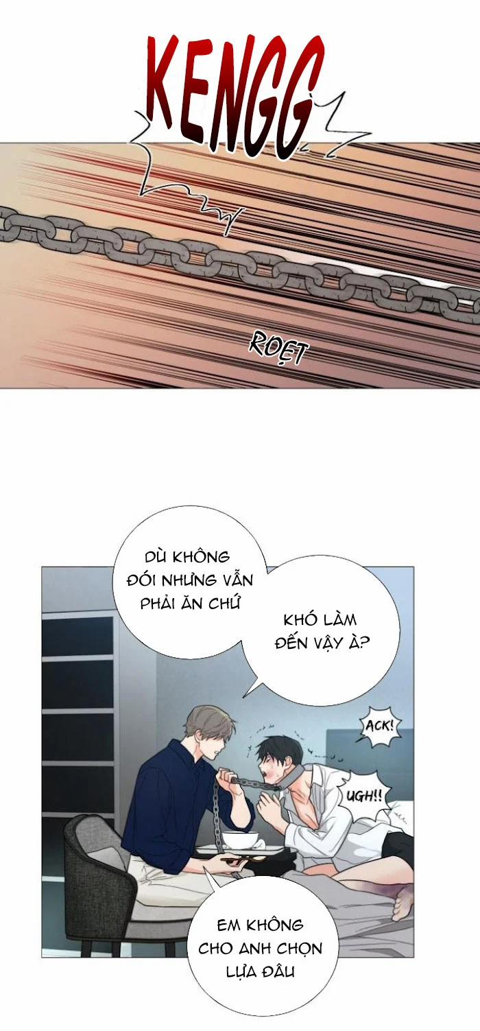 Vẻ Đẹp Bạo Dâm Đam Mỹ Ngoại Truyện 3.2 trang 6