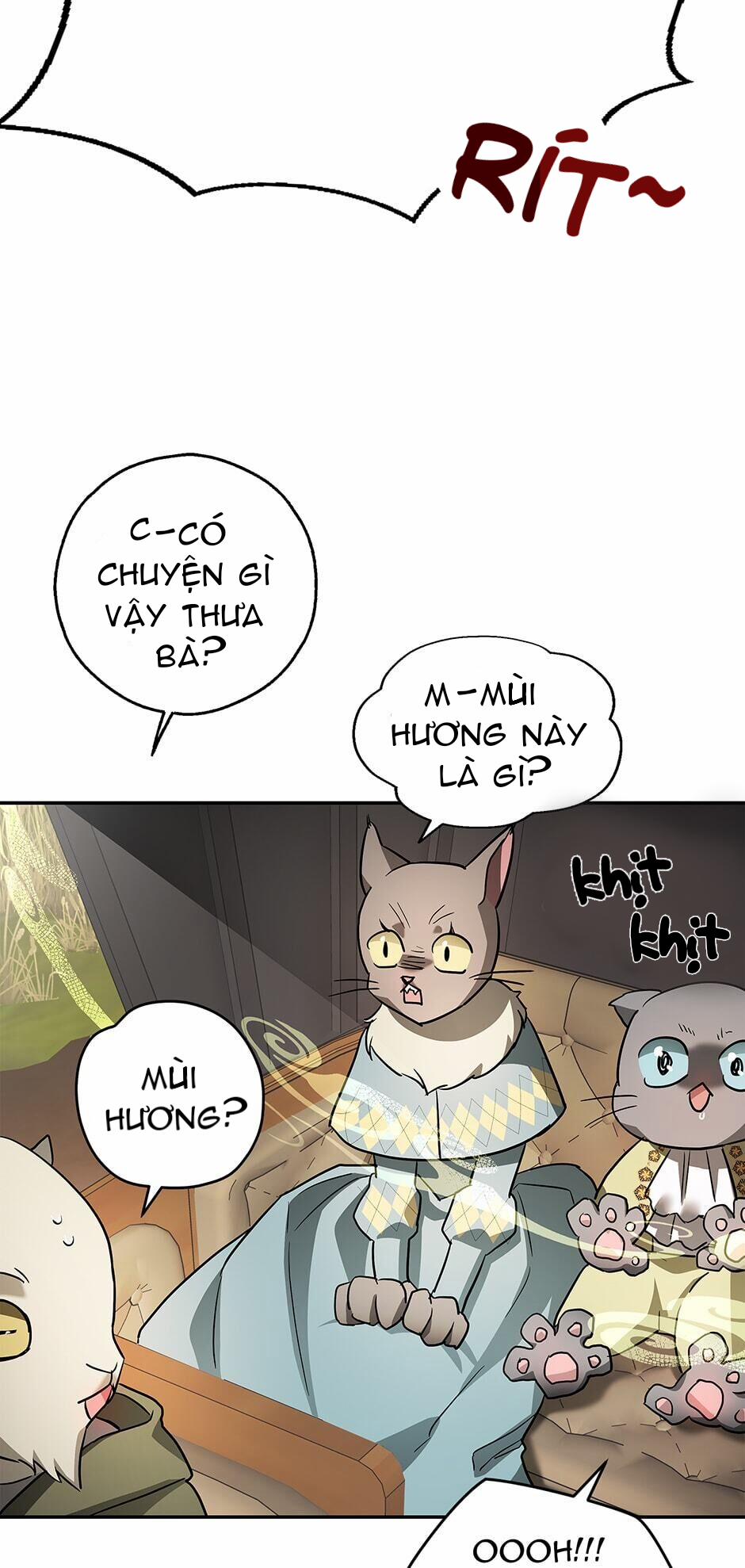 Vẻ Đẹp Bí Ẩn Của Chồng Tôi 35 trang 40