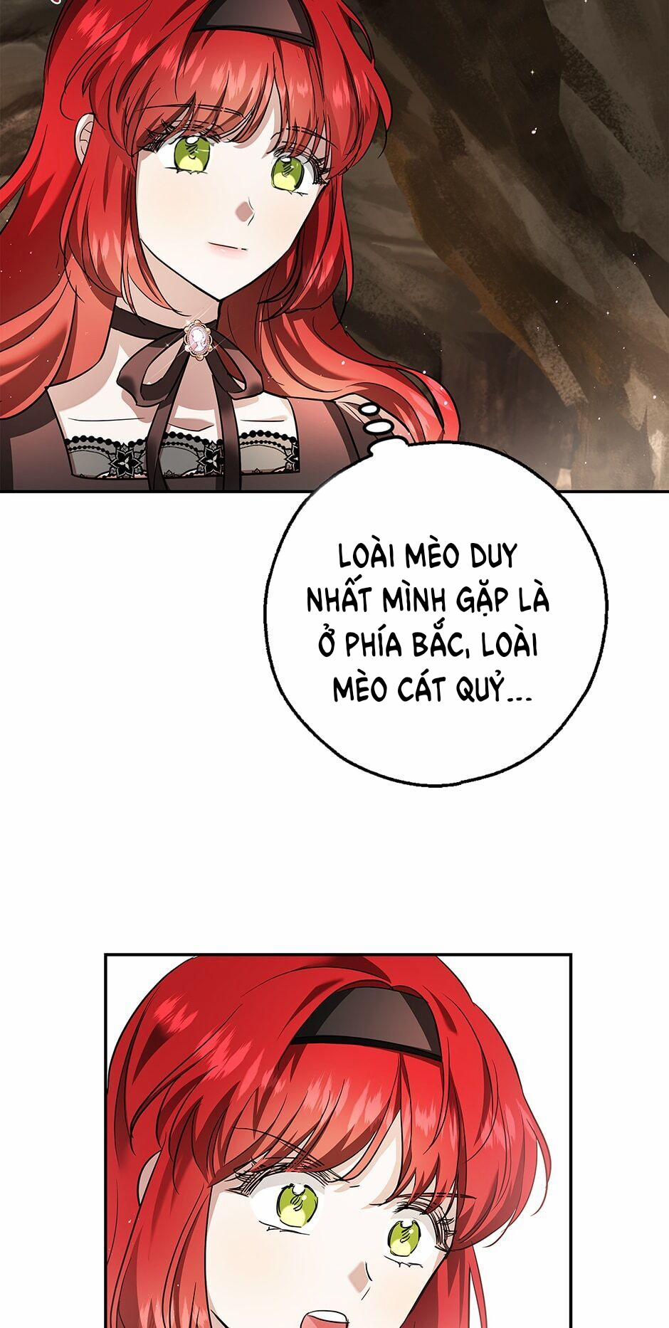 Vẻ Đẹp Bí Ẩn Của Chồng Tôi 35 trang 9