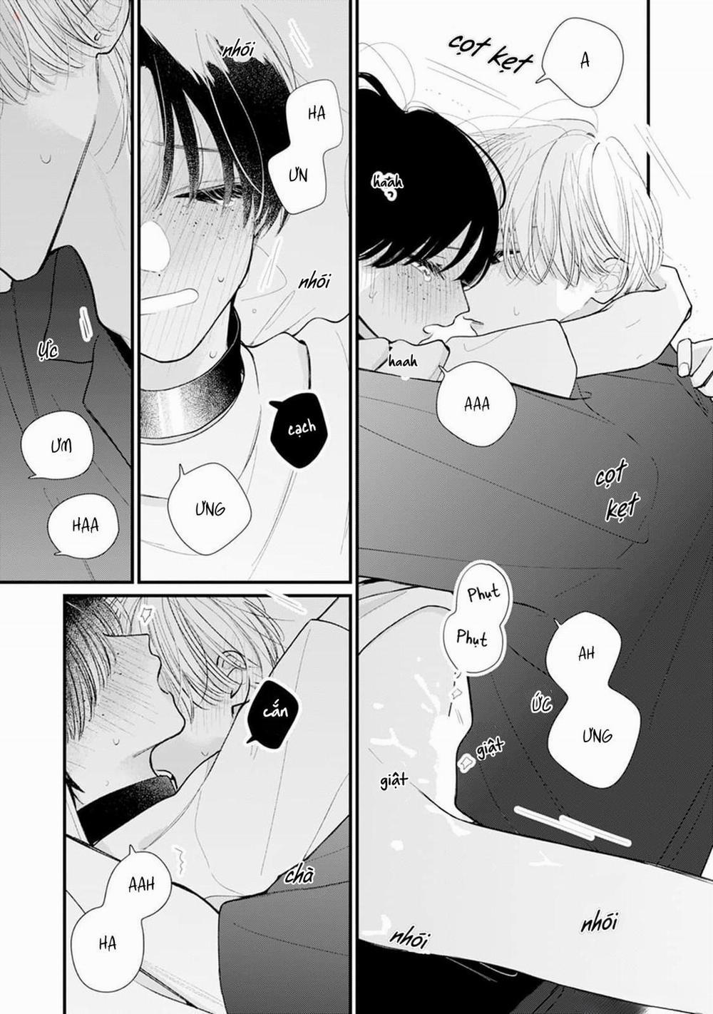 Veil Blue And Gardenia Bouquet 1 trang 19