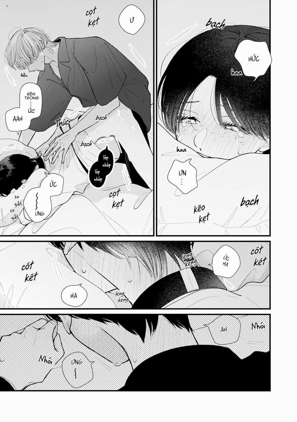 Veil Blue And Gardenia Bouquet 1 trang 21