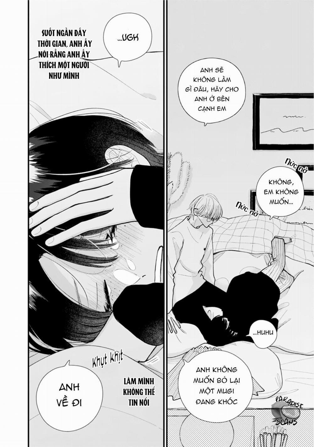 Veil Blue And Gardenia Bouquet 2 trang 22