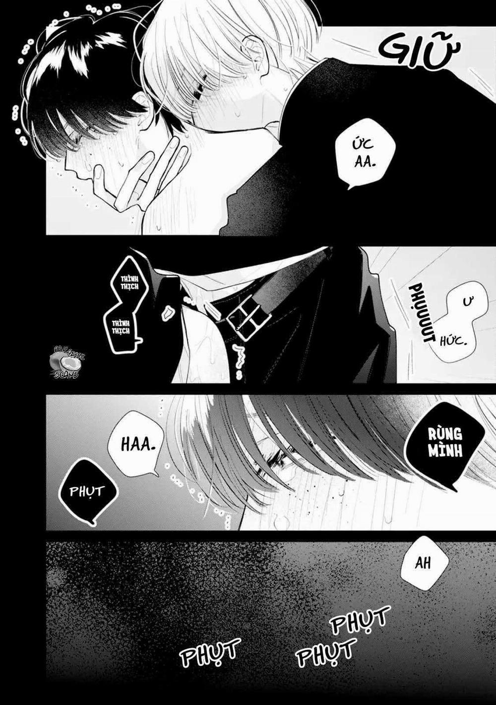 Veil Blue And Gardenia Bouquet 3 trang 22