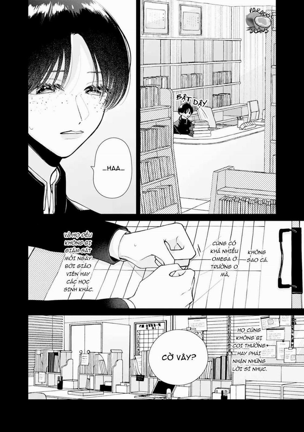 Veil Blue And Gardenia Bouquet 3 trang 8