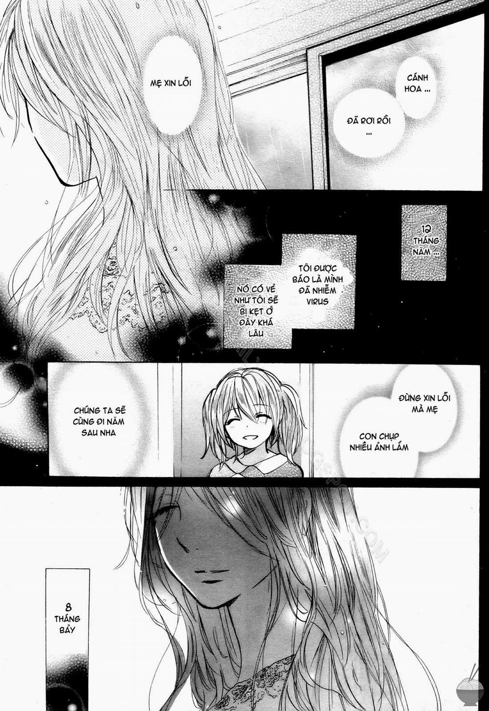 Velvet Kiss Vol.4 Part 2 [End] trang 23