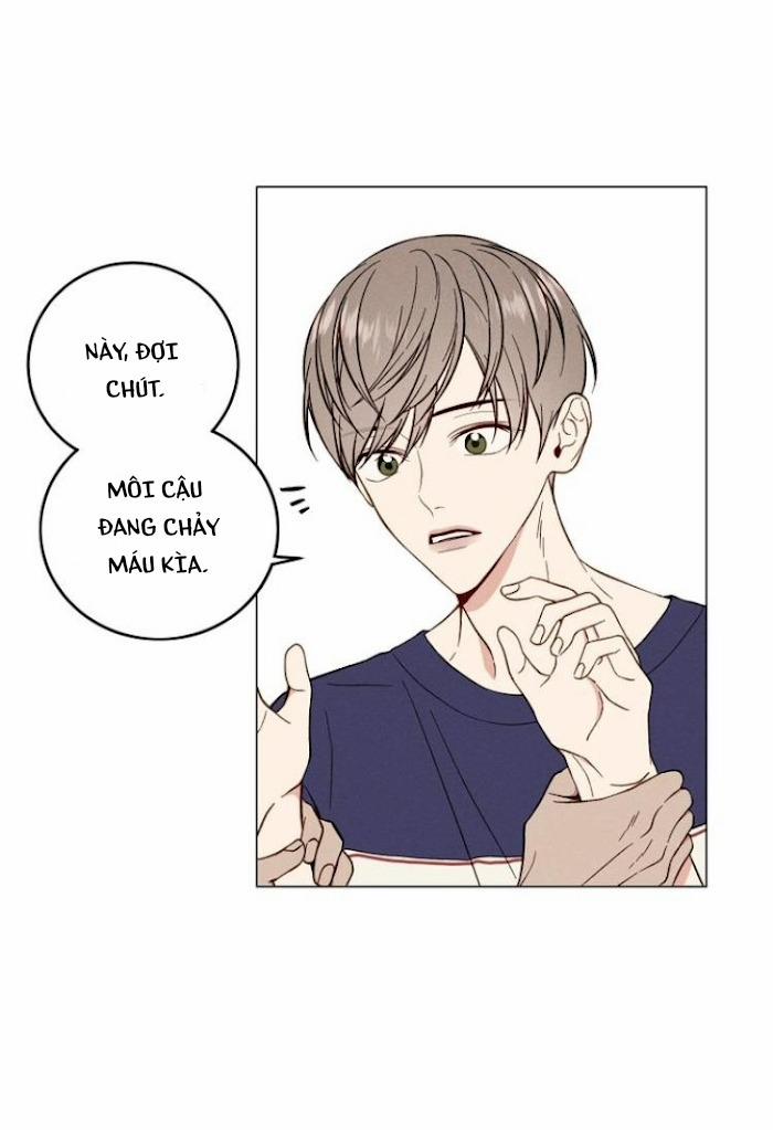 Vết Ố Nơi Tim 10 trang 29