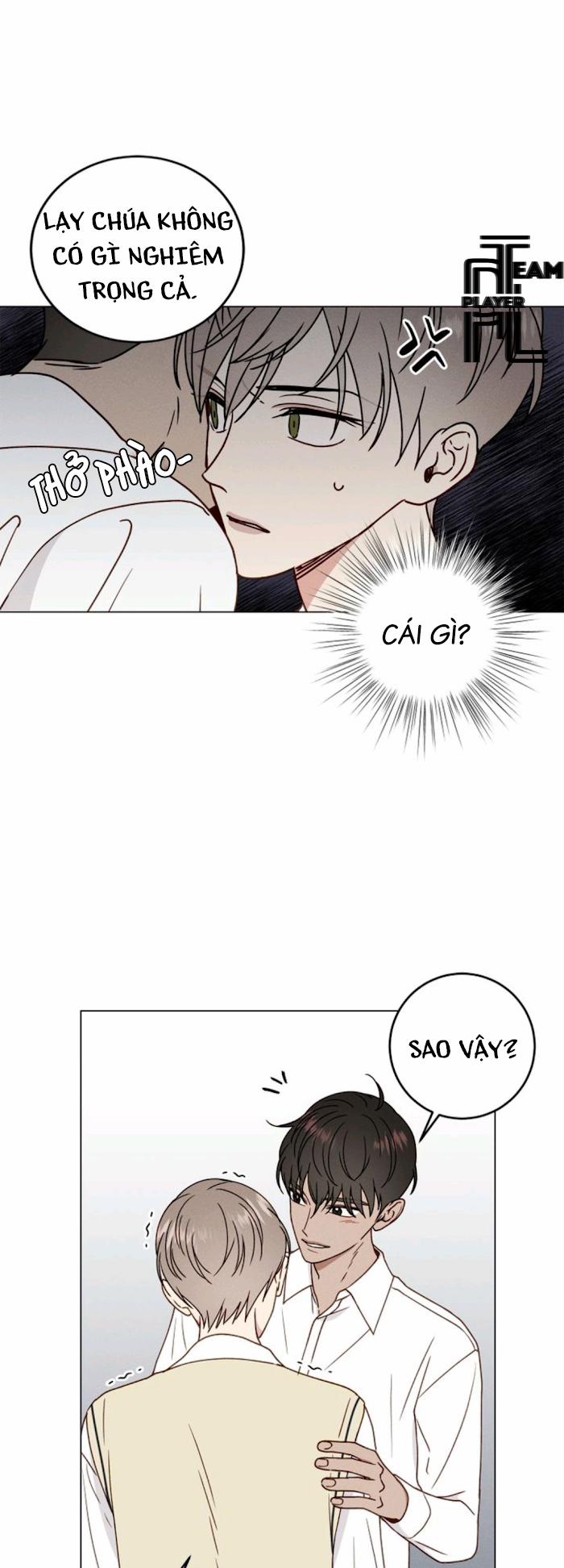 Vết Ố Nơi Tim 15.2 trang 13