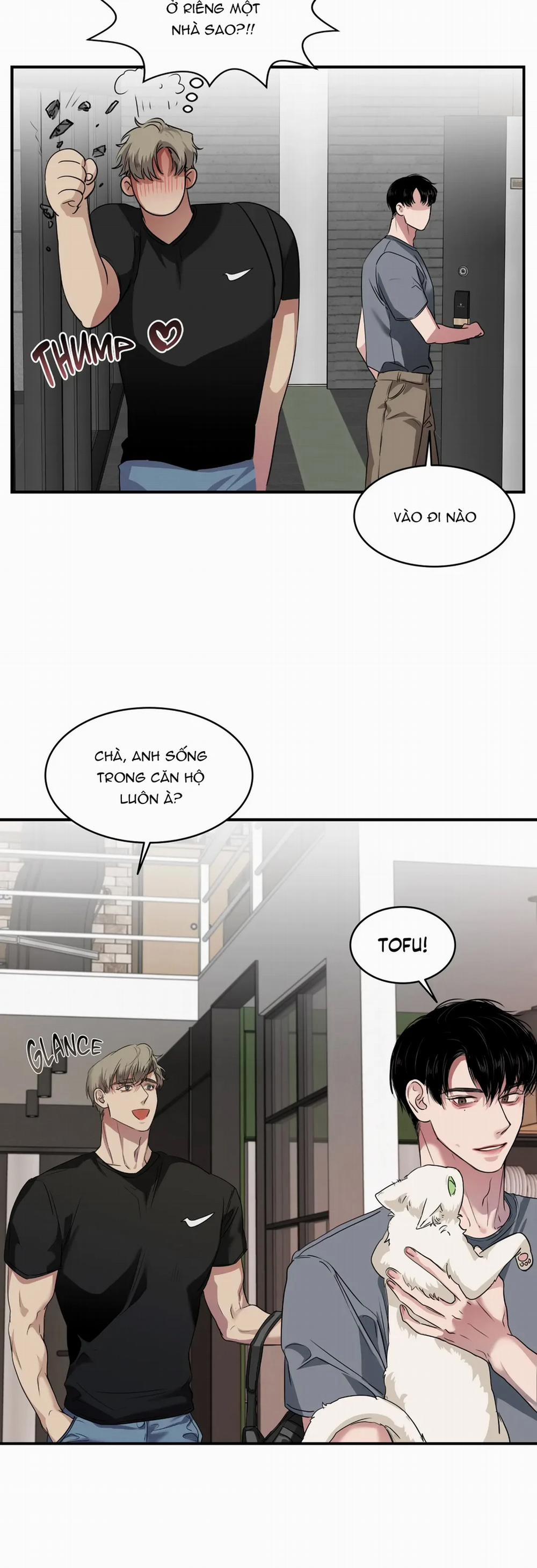 Vết Rắn Cắn 19.2 trang 11