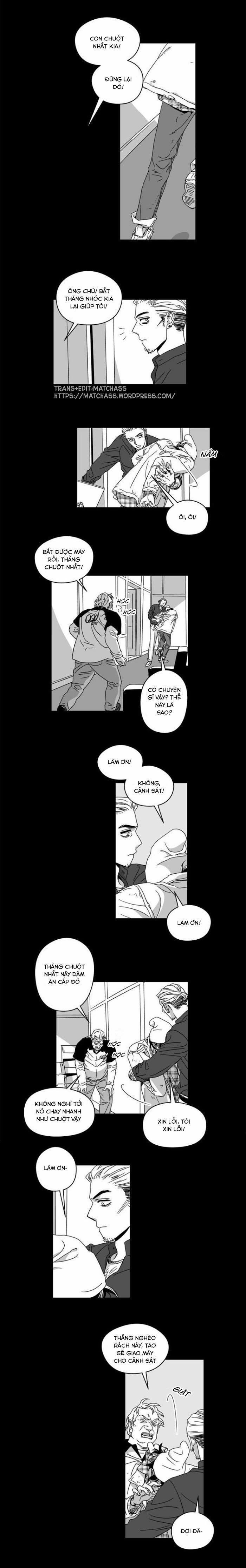 Vết Thương Lòng (Stigma) 11 trang 0