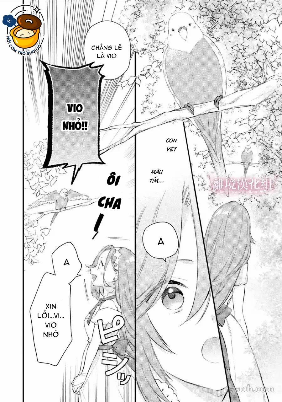 Vì Để Hủy Bỏ Hôn Ước Tôi Đã Giả Vờ Mất Trí 9.2 trang 15