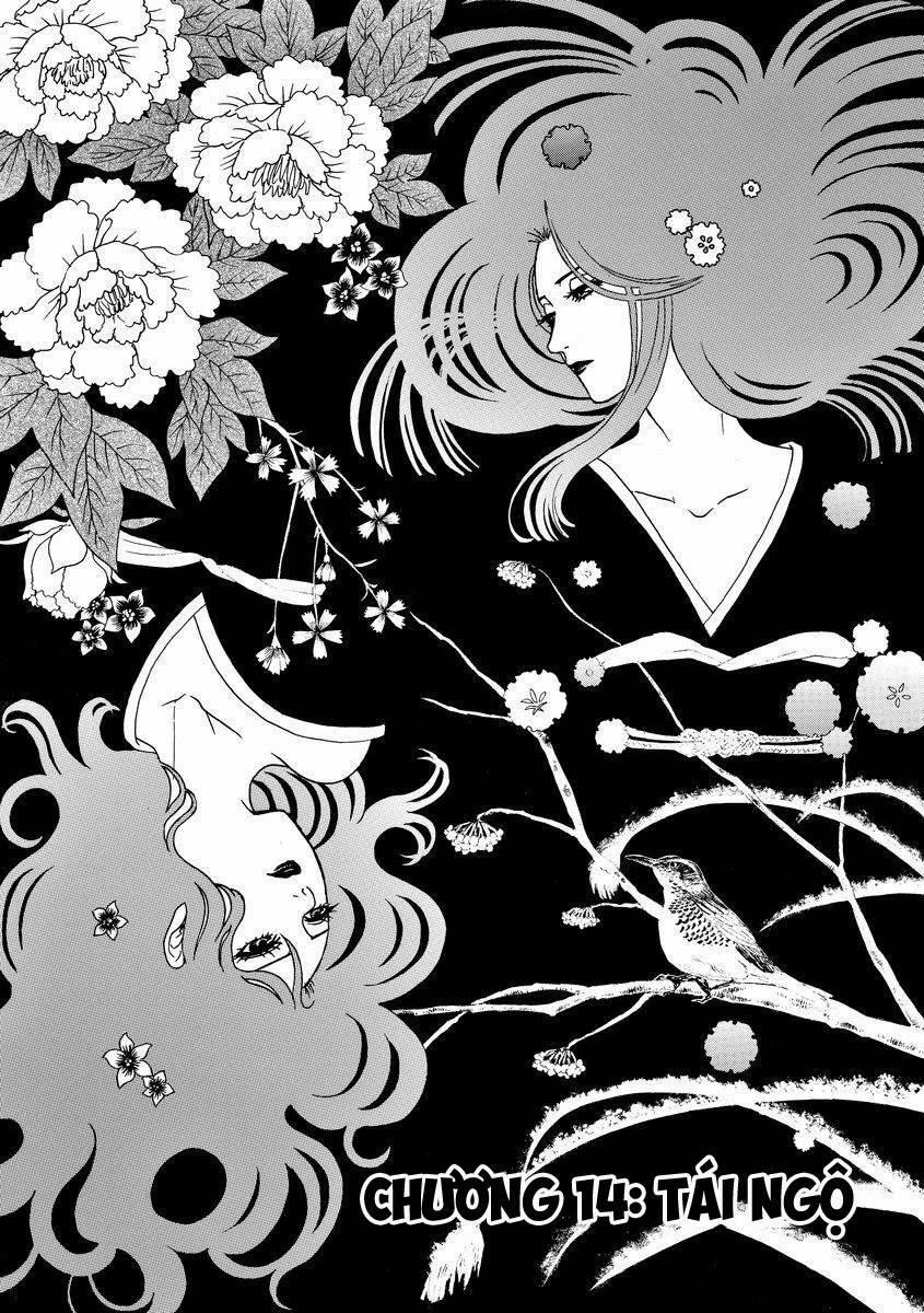 Vì Hận Tái Sinh ~Người Phụ Nữ Vì Phục Thù Mà Từ Bỏ Gương Mặt Của Mình~ 14 trang 2