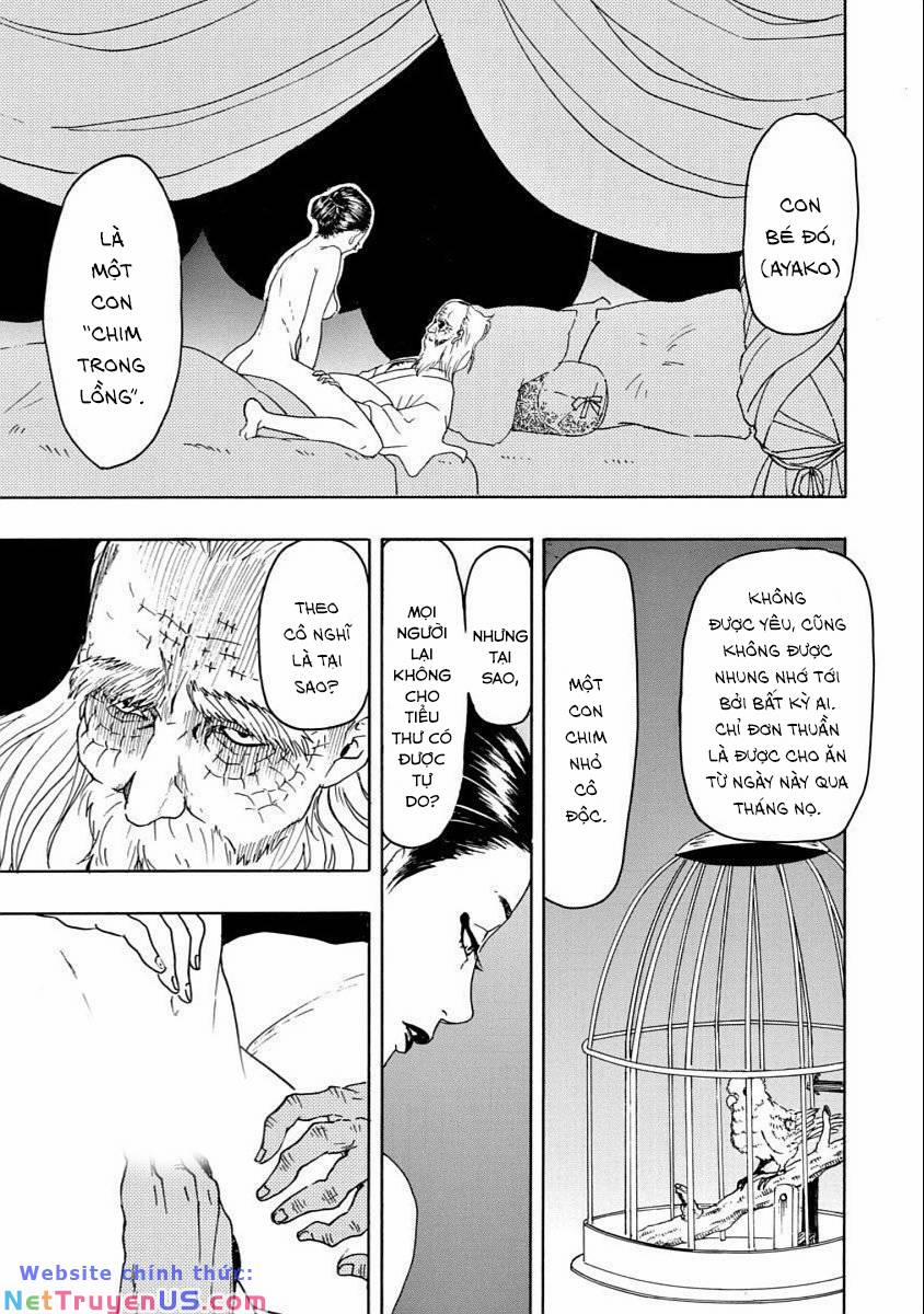 Vì Hận Tái Sinh ~Người Phụ Nữ Vì Phục Thù Mà Từ Bỏ Gương Mặt Của Mình~ 35 trang 3