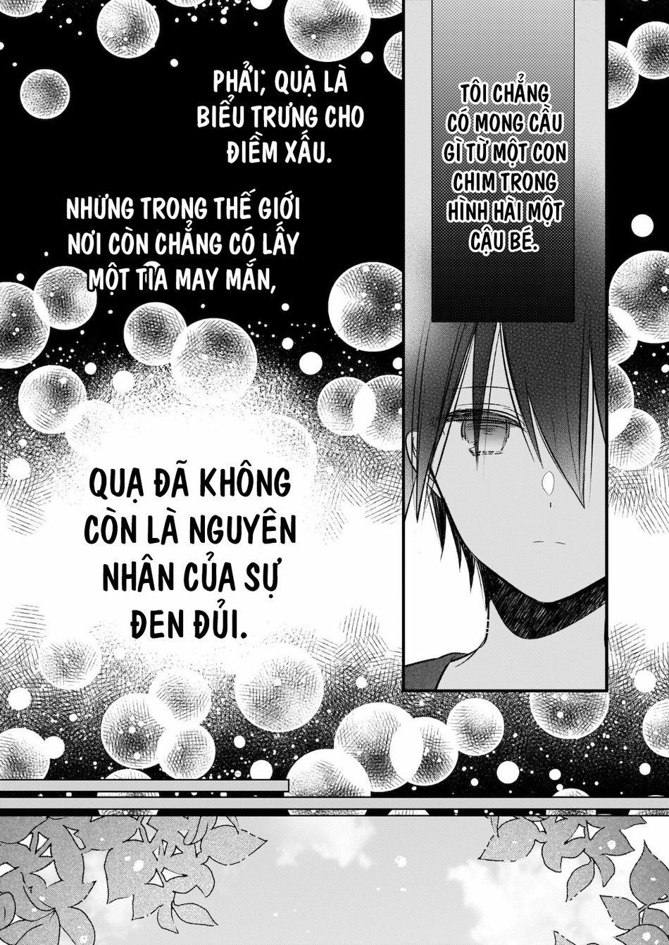 Vị Hôn Phu Của Tôi Đã Rơi Vào Lưới Tình Với Em Gái 11 trang 12