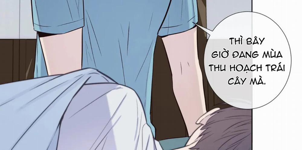 Vị Khách Mùa Hè 18 trang 11