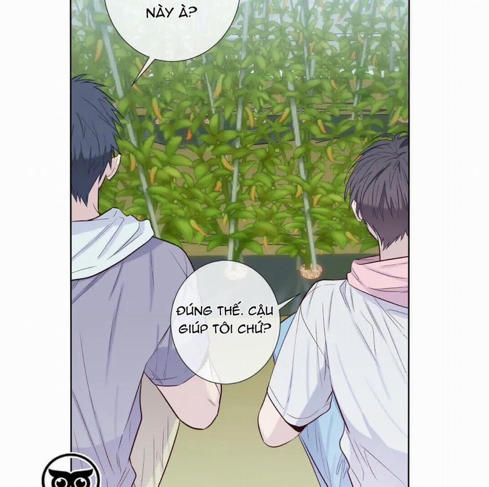 Vị Khách Mùa Hè 18 trang 114