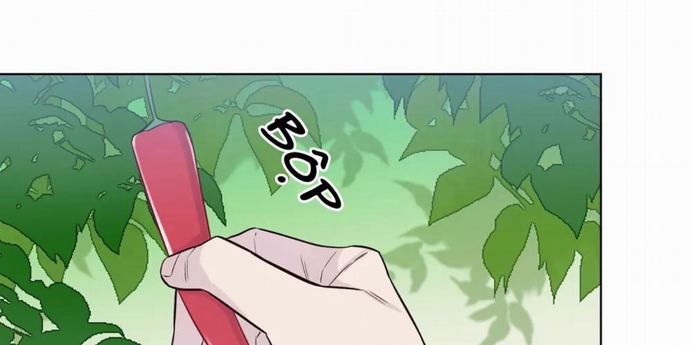 Vị Khách Mùa Hè 18 trang 30