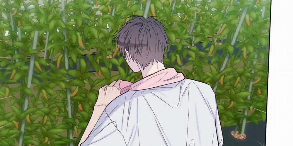 Vị Khách Mùa Hè 18 trang 35