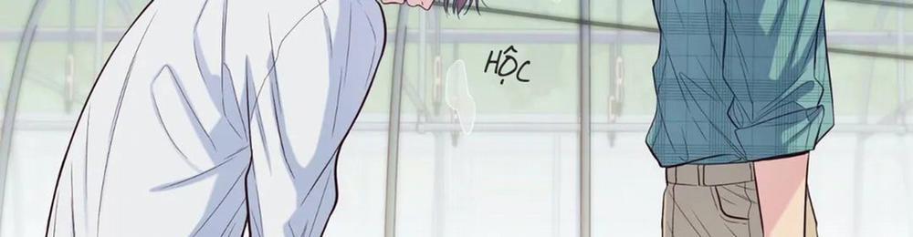 Vị Khách Mùa Hè 28 trang 196