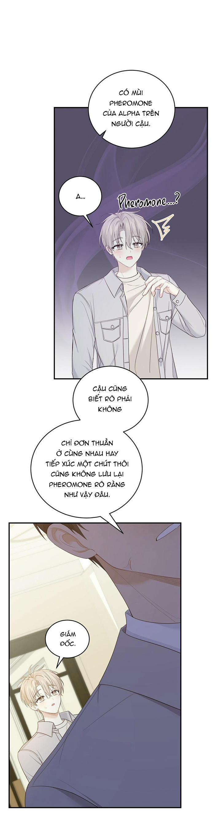 Vị Ngọt Không Đường 13 trang 11