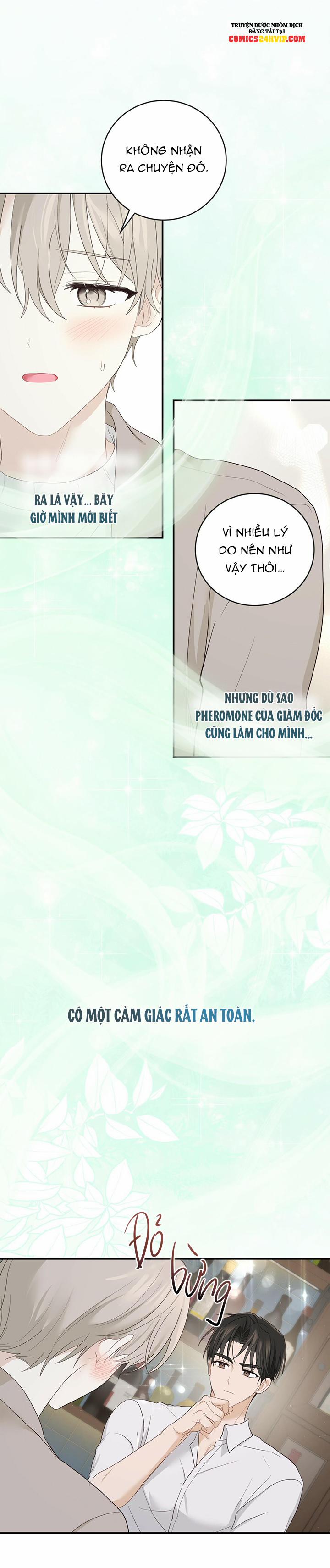 Vị Ngọt Không Đường 16 trang 11