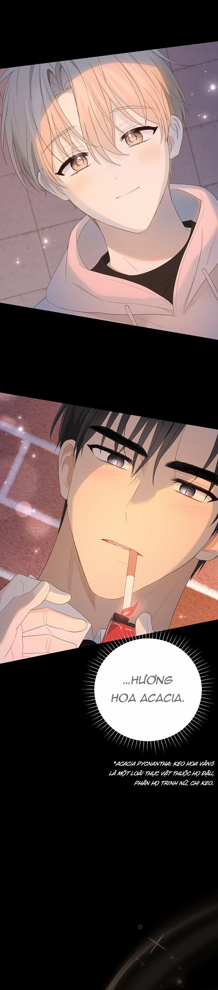 Vị Ngọt Không Đường 19 trang 29