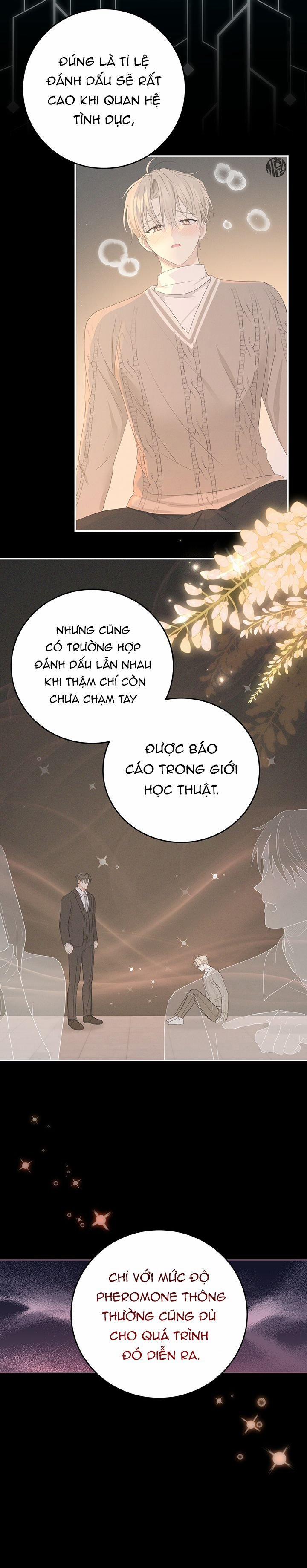 Vị Ngọt Không Đường 21 trang 17