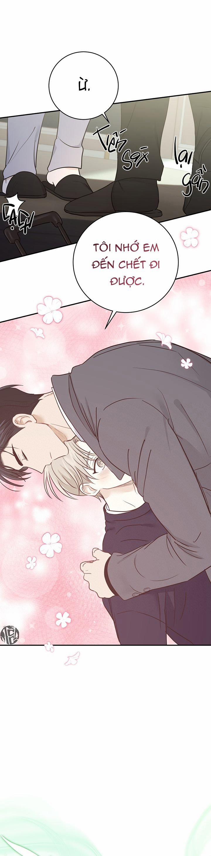 Vị Ngọt Không Đường 26 trang 11