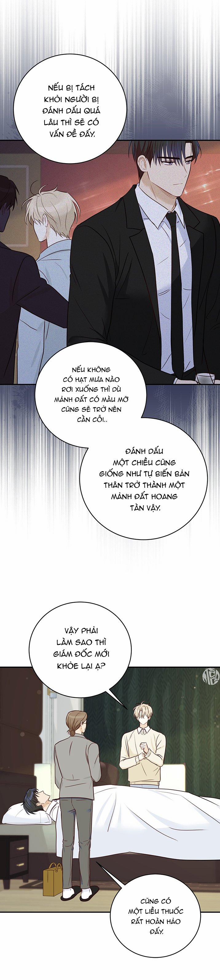 Vị Ngọt Không Đường 29 trang 8