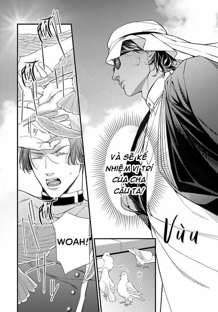 Vị Vua Quyến Rũ Mộng Mơ Về “Một Ngàn Lẻ Một Đêm 1 trang 11