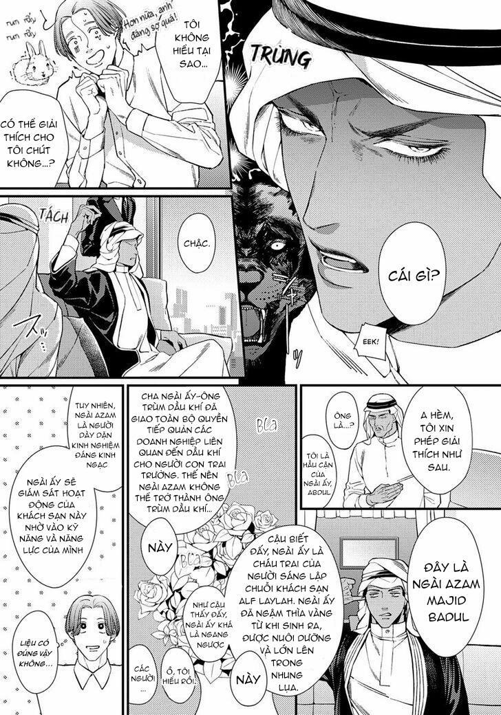 Vị Vua Quyến Rũ Mộng Mơ Về “Một Ngàn Lẻ Một Đêm 1 trang 17