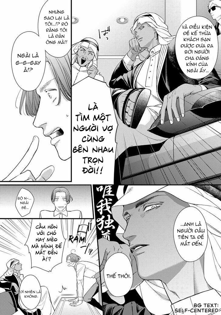 Vị Vua Quyến Rũ Mộng Mơ Về “Một Ngàn Lẻ Một Đêm 1 trang 18