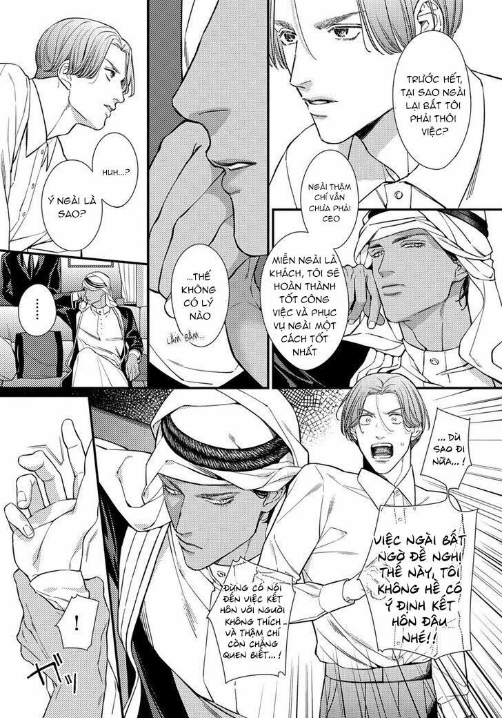 Vị Vua Quyến Rũ Mộng Mơ Về “Một Ngàn Lẻ Một Đêm 1 trang 19