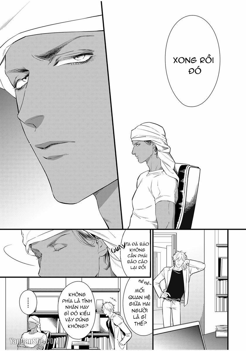 Vị Vua Quyến Rũ Mộng Mơ Về “Một Ngàn Lẻ Một Đêm 2 trang 14