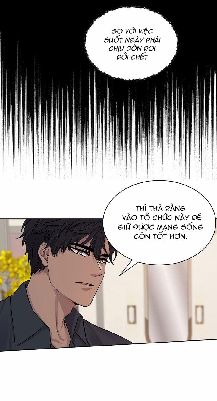 Viên Đạn Vàng 12 trang 46