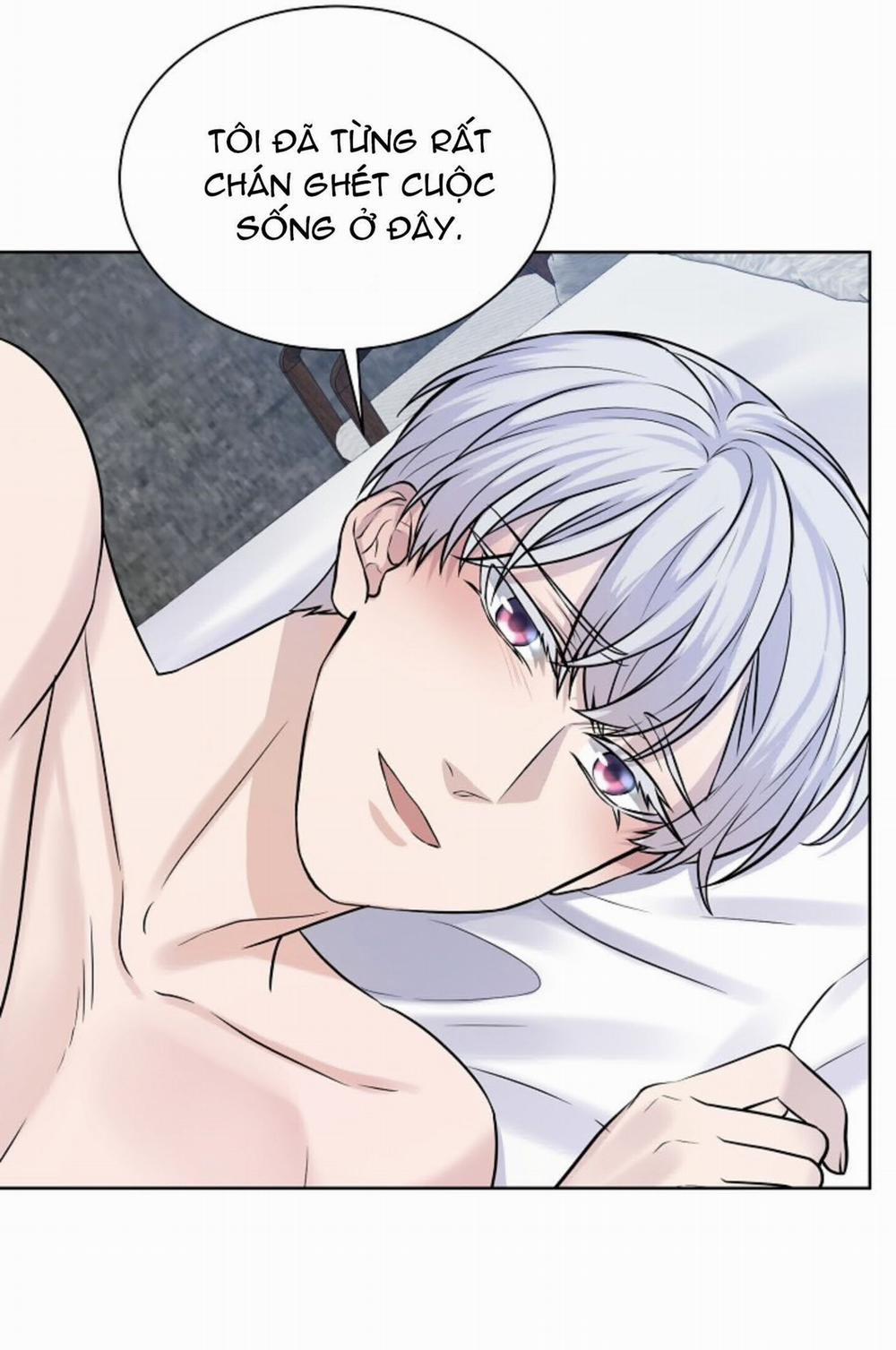 Viên Đạn Vàng 18 trang 7