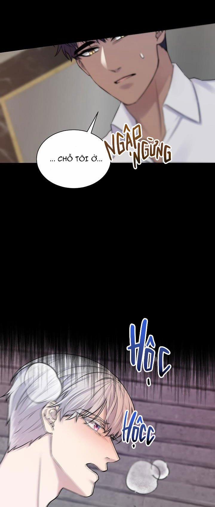 Viên Đạn Vàng 21 trang 3