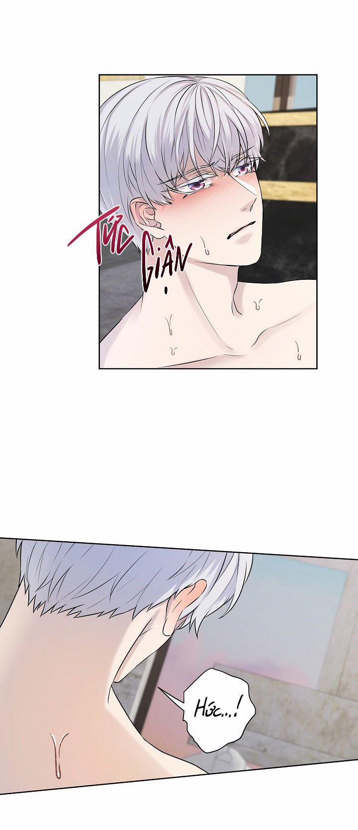 Viên Đạn Vàng 4 trang 23